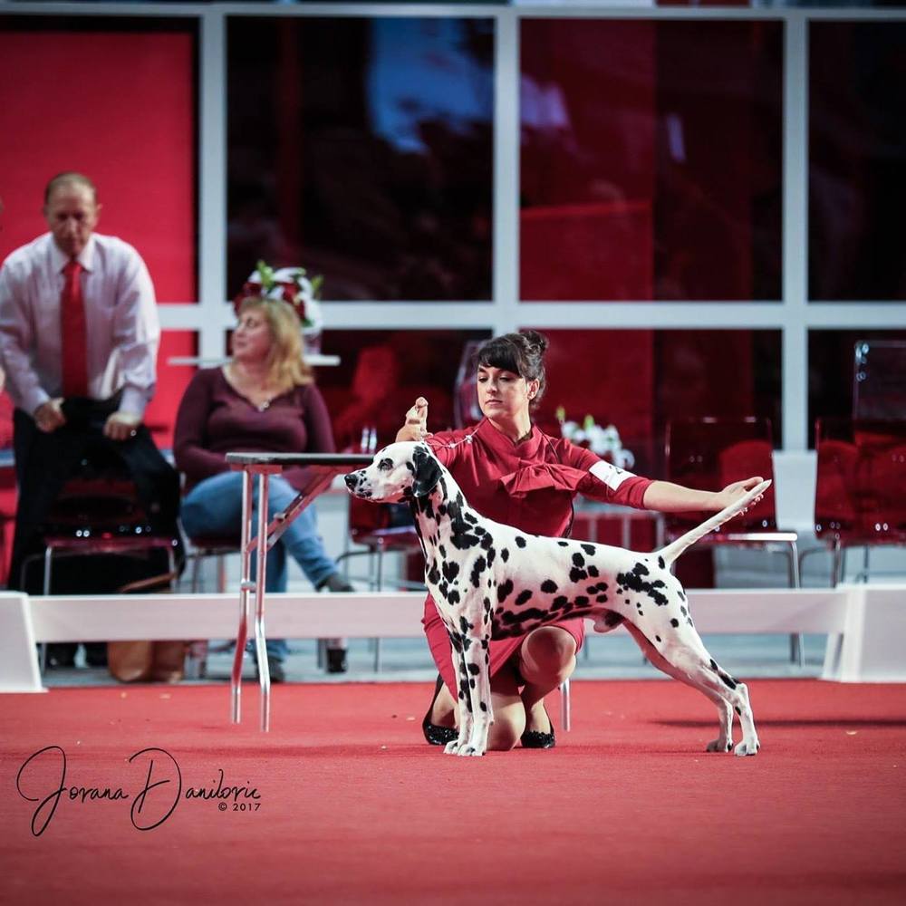 Meet your Posher, Carey